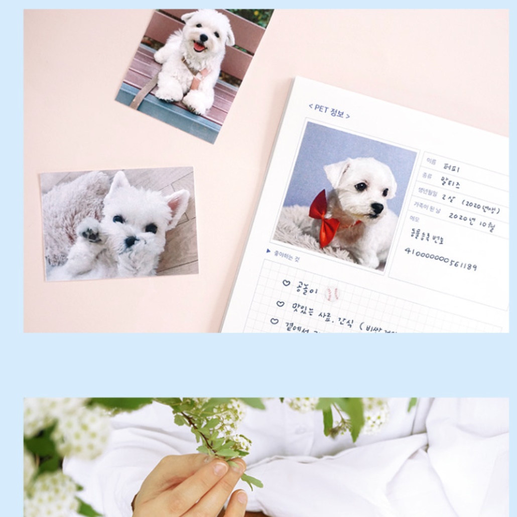 고양이 다이어리 강아지 다이어리 애견 일기장 반려견 애완견 포토 다이어리 - 상세 이미지 2