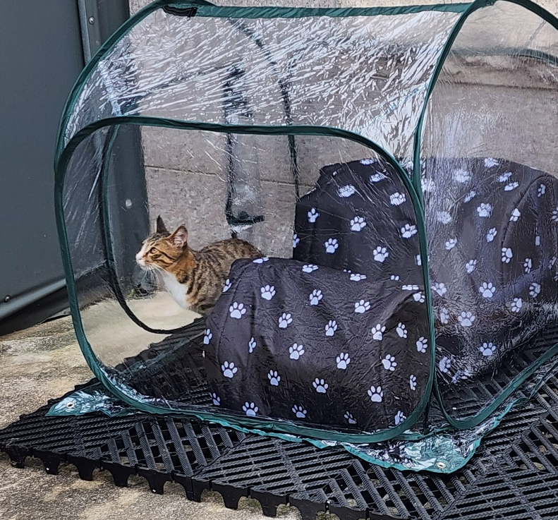 길고양이집 길냥이 겨울집 실외 급식소 방풍 방수 비닐 하우스 텐트