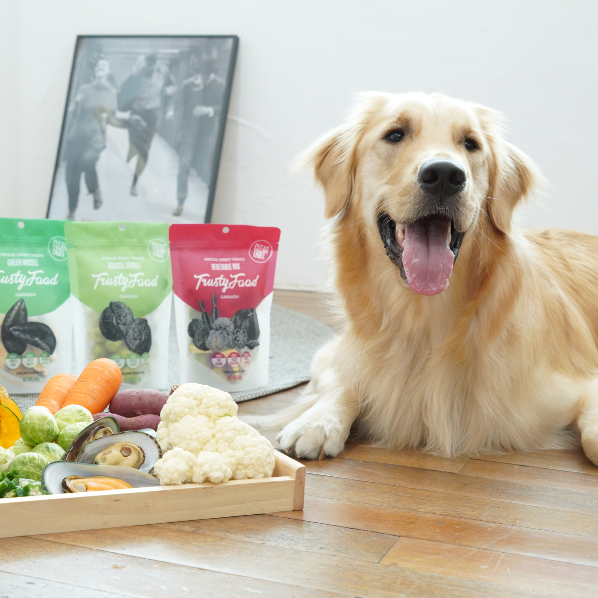 트러스티푸드 동결건조 야채간식 방울양배추 40g 강아지 위건강 저지방 저알러지 혈당조절