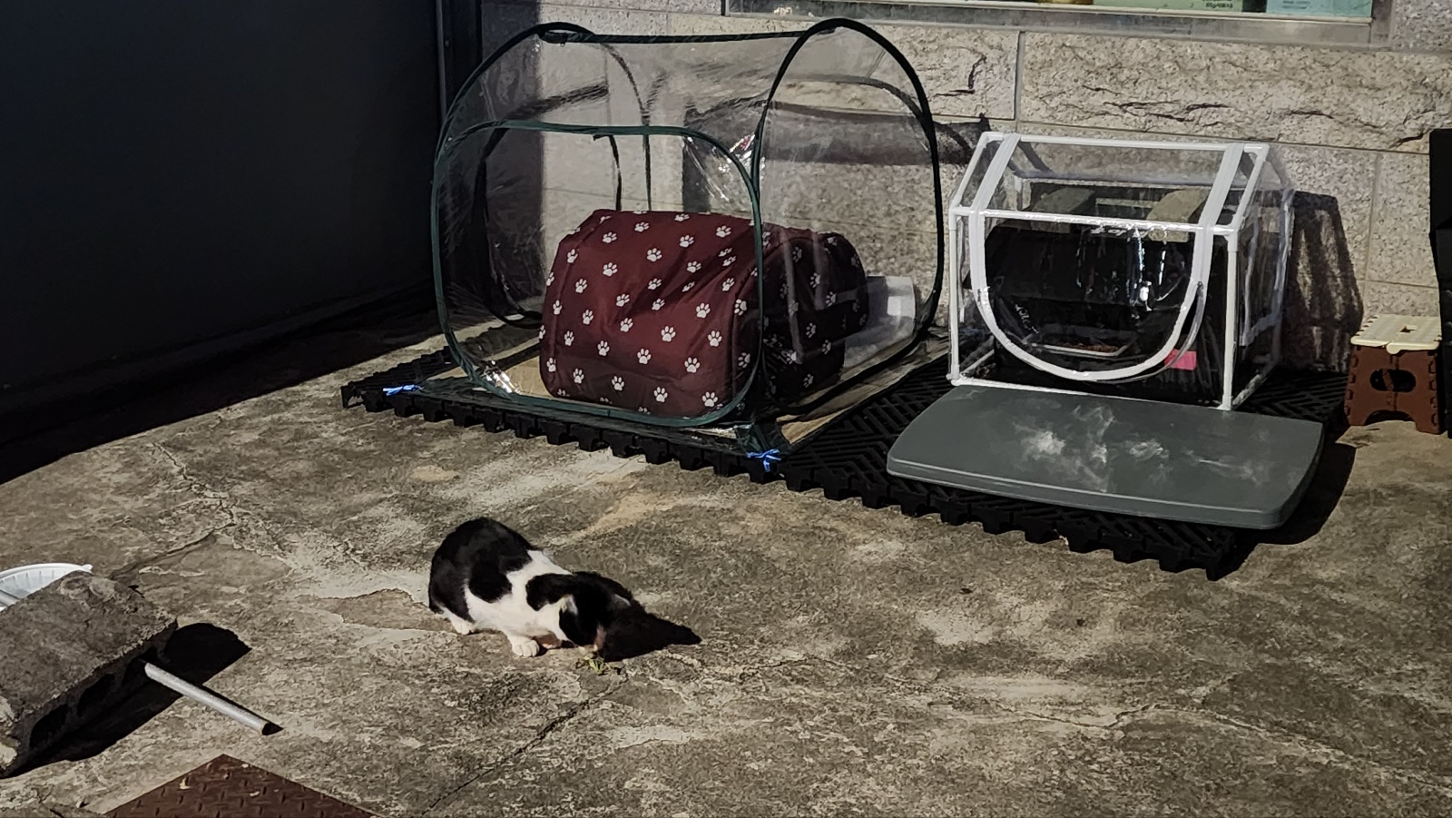 길고양이집 길냥이 겨울집 실외 급식소 방풍 방수 비닐 하우스 텐트