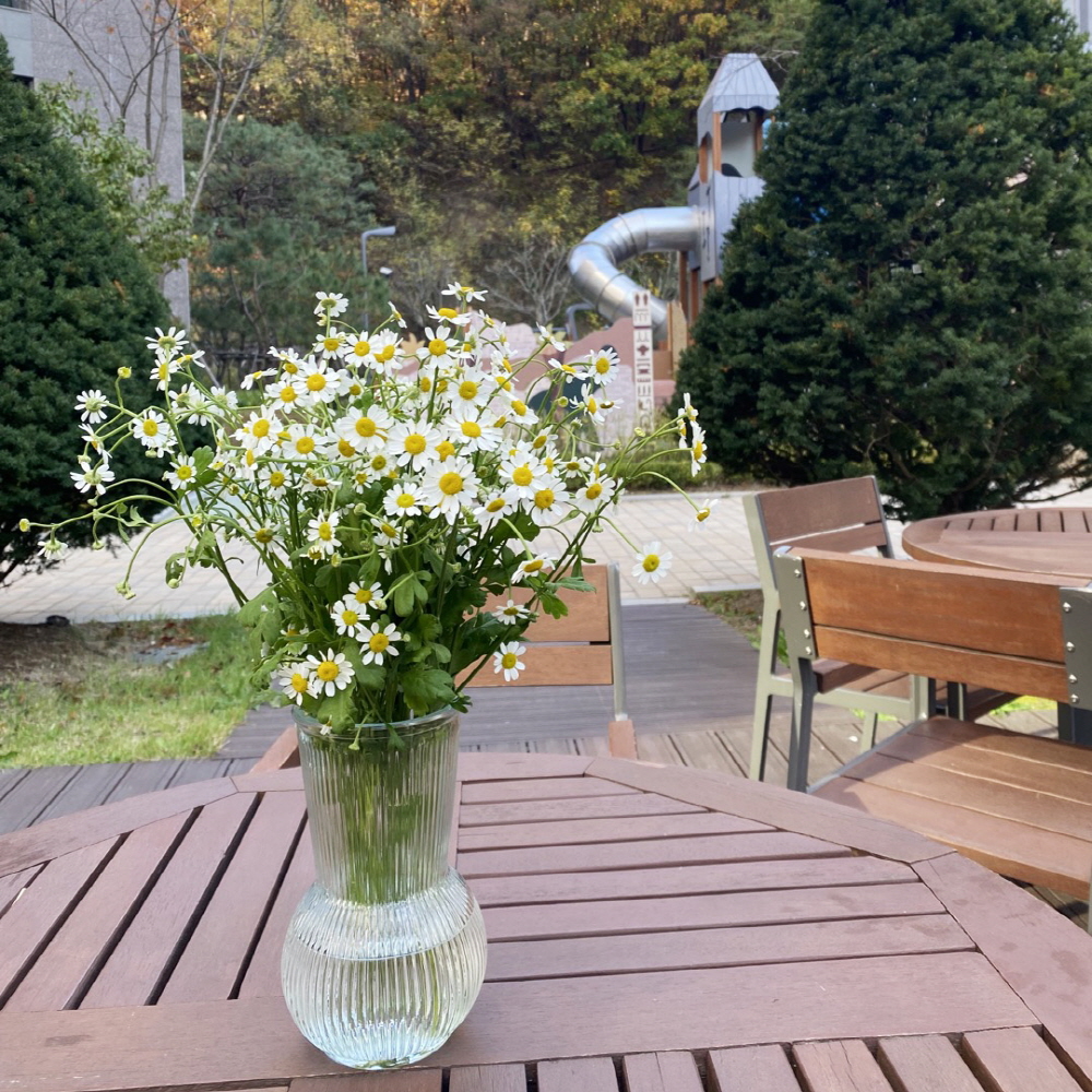 마트리카리아 꽃다발 꽃배달싼곳 꽃시장 생화택배 이미지 2