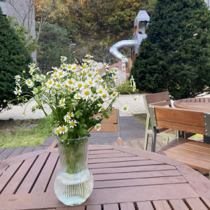 마트리카리아 꽃다발 꽃배달싼곳 꽃시장 생화택배 솔직 후기 | 실사용자 리뷰 분석 - 상품 이미지 2