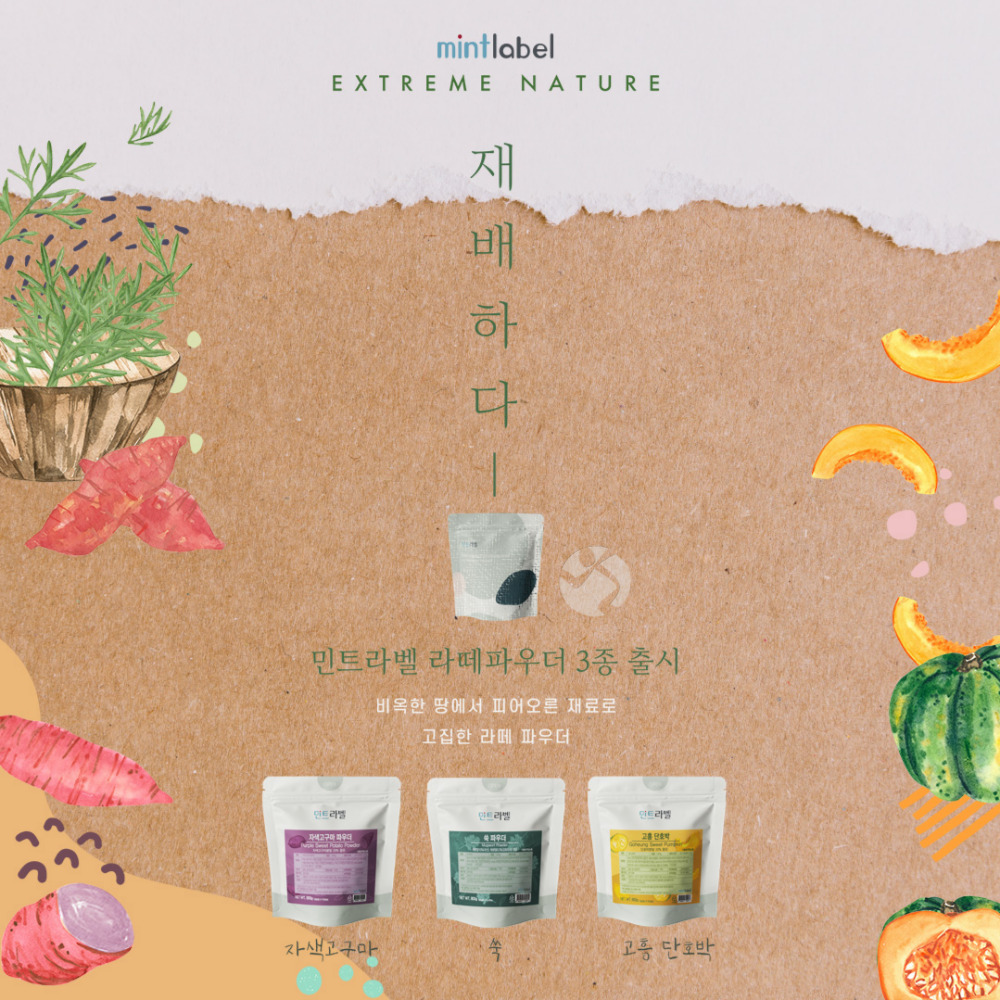 단호박 고흥 라떼 파우더 민트라벨 800g x 6개(박스할인) - 상세 이미지 4