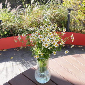 마트리카리아 꽃다발 꽃배달싼곳 꽃시장 생화택배 솔직 후기 | 실사용자 리뷰 분석 - 상품 이미지 3