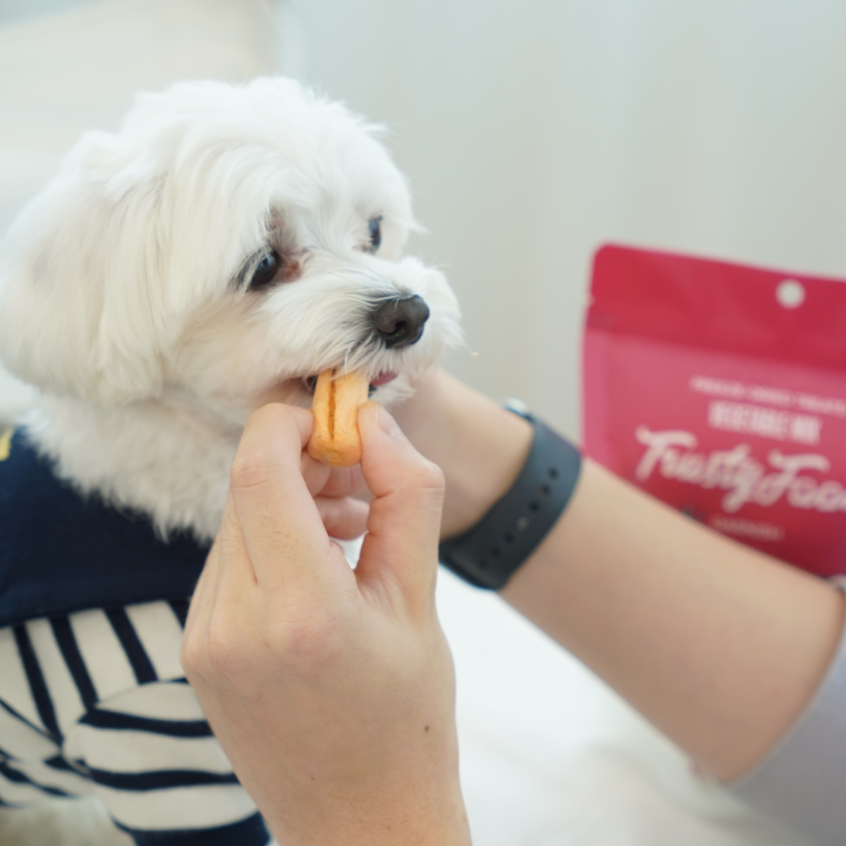 트러스티푸드 동결건조 야채간식 채소믹스 50g 강아지 저지방 저칼로리 저알러지 다이어트