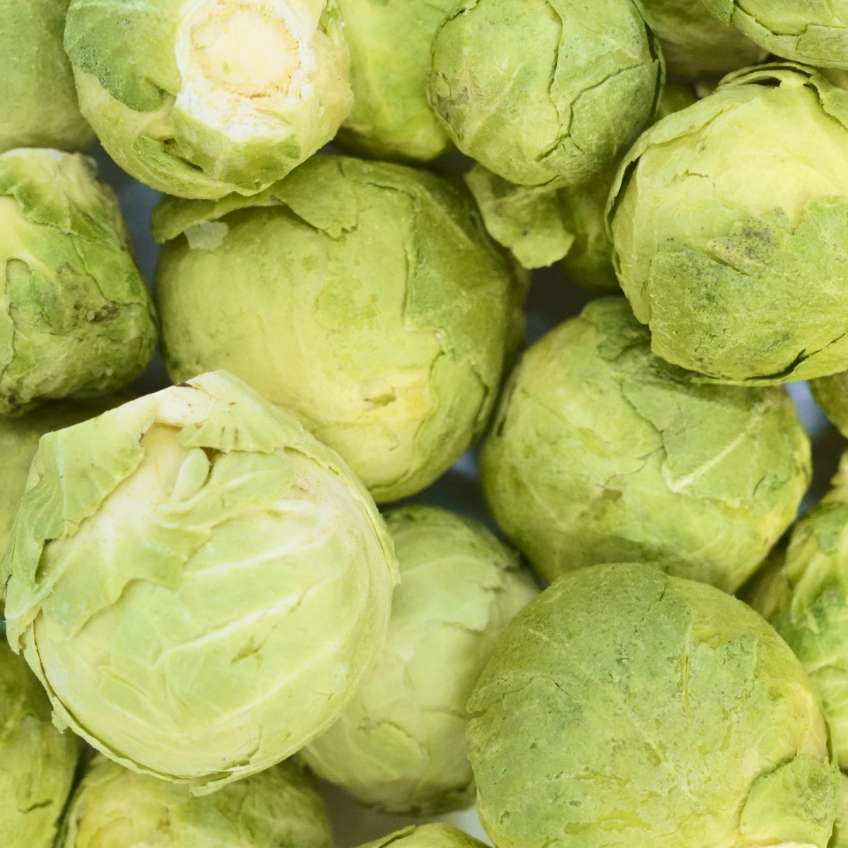 트러스티푸드 동결건조 야채간식 방울양배추 40g 강아지 위건강 저지방 저알러지 혈당조절