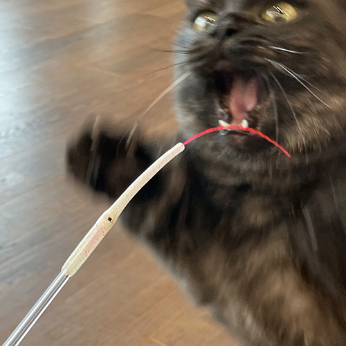 점푸캣 야광꼴뚜기 스틱 오뎅꼬치 고양이 막대 장난감 1p