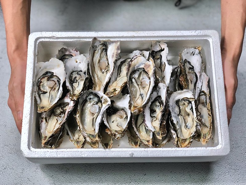국내산 세척 석화 석굴 석화굴 5kg, 1개 - 메인 이미지