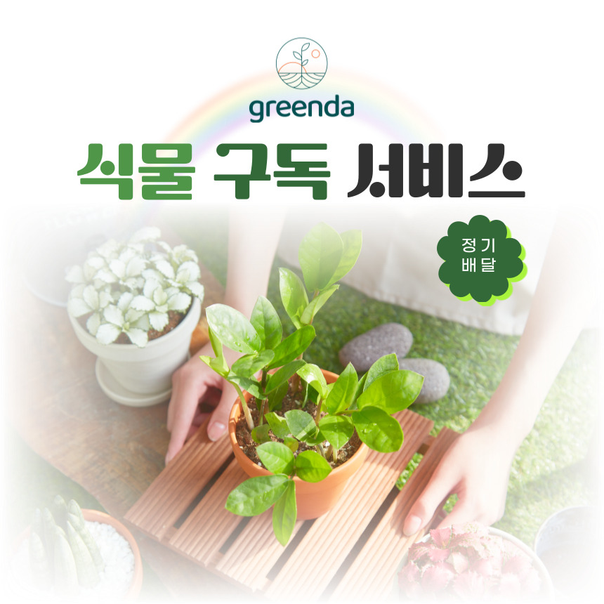 식물 구독 서비스, 계절화분선물 축하선물 식물인테리어 미니정원 - 상품 이미지