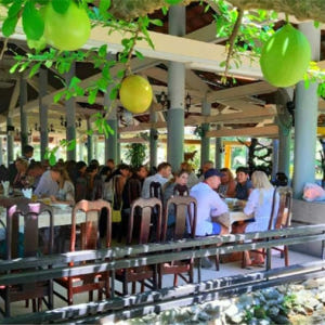 베트남  하루 종일| 영어/중국어/한국어 가이드와 함께 나트랑 양베이 폭... 솔직 후기 | 실사용자 리뷰 분석 - 상품 이미지 3