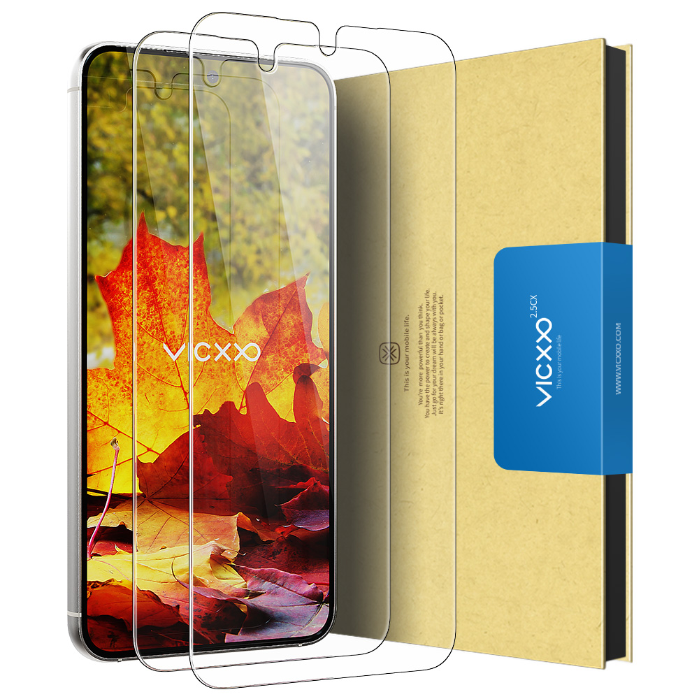 빅쏘 2.5CX 강화유리 필름 갤럭시S23 FE, 2매입