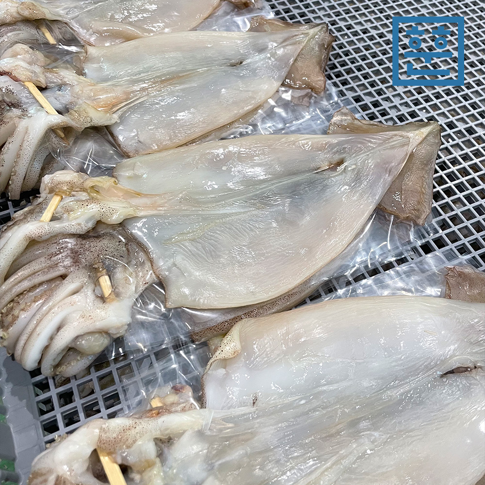 반건조오징어 피데기 마른오징어 국내생산 이미지 2
