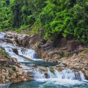베트남  하루 종일| 영어/중국어/한국어 가이드와 함께 나트랑 양베이 폭... 솔직 후기 | 실사용자 리뷰 분석 - 상품 이미지 1