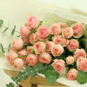 미니 핑크로즈 꽃다발, 장미 자나 생화 장미꽃 생일 졸업 입학 봄 여름 ... 솔직 후기 | 실사용자 리뷰 분석 - 상품 이미지 4