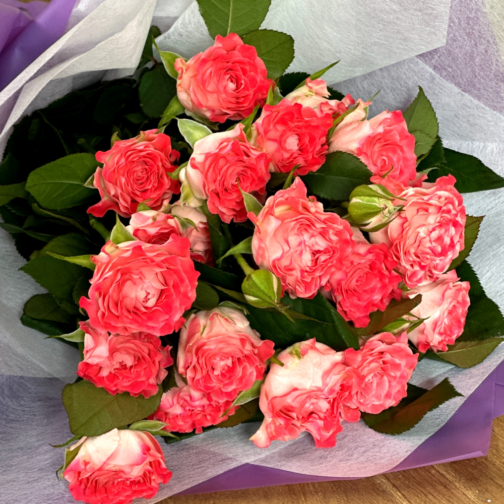 리틀캠든 페어플 장미 생화꽃다발