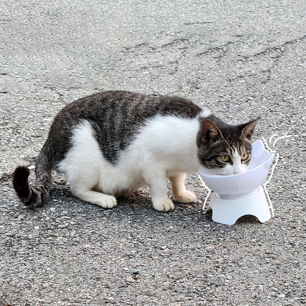 나마스펫 강아지밥그릇 고양이밥그릇 물그릇 식기 쿠앤크 1구