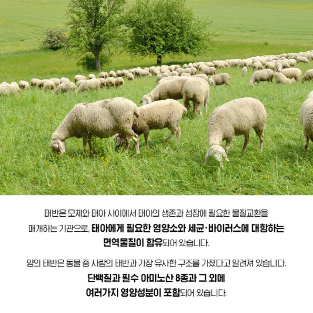 참굿즈 호주산 양태반 고함량 가루 - 상세 이미지 5