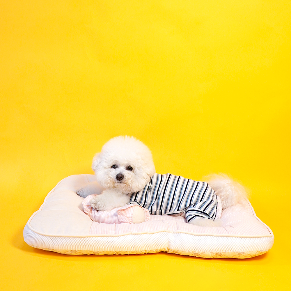 개과천선 루나 강아지 침대 쿠션 애견 방석 베개 극세사 꿀잠 고양이 사계절 핑크 대형 - 상세 이미지 4
