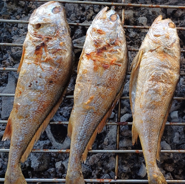 섬마을어부 참숯불에 구운 굴비 33cm 반건조 수제 생선구이 숯불향 밥반찬 제수용 이미지 7