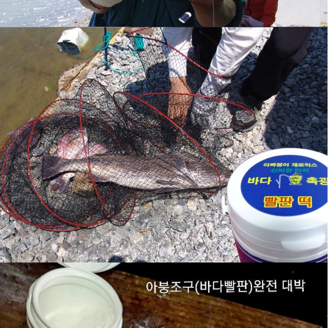 아빠붕어 바다빨판 바다 낚시 유터 크릴 지렁이 미끼 - 상세 이미지 5