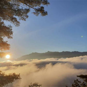 대만  아리산 교통 패키지｜타이완하오싱 아리산 라인 티켓 솔직 후기 | 실사용자 리뷰 분석 - 상품 이미지 2
