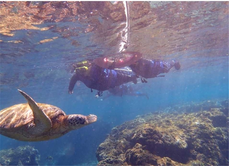 대만  [사진 증정] 샤오류추 스노클링 | 선라이트 스노클링 이미지 2