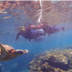 대만  [사진 증정] 샤오류추 스노클링 | 선라이트 스노클링 솔직 후기 | 실사용자 리뷰 분석 - 상품 이미지 2