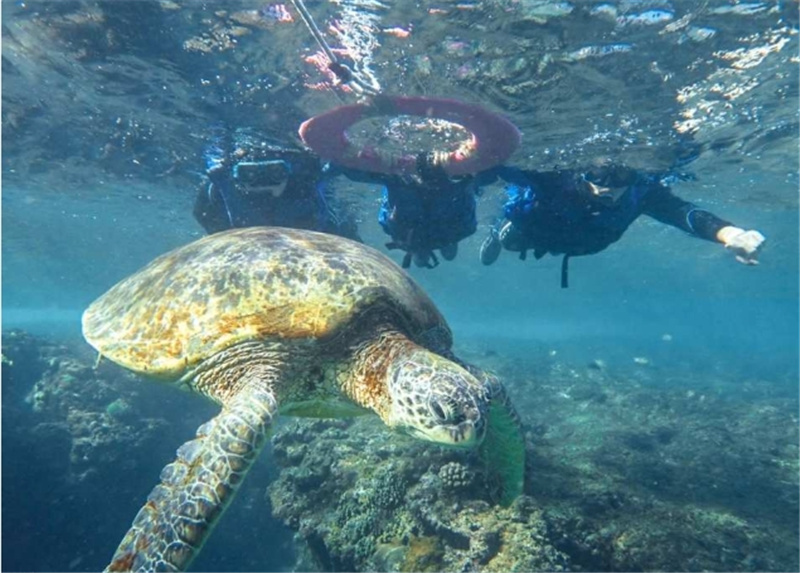 대만  [사진 증정] 샤오류추 스노클링 | 선라이트 스노클링 솔직 후기 | 실사용자 리뷰 분석 - 대표 이미지