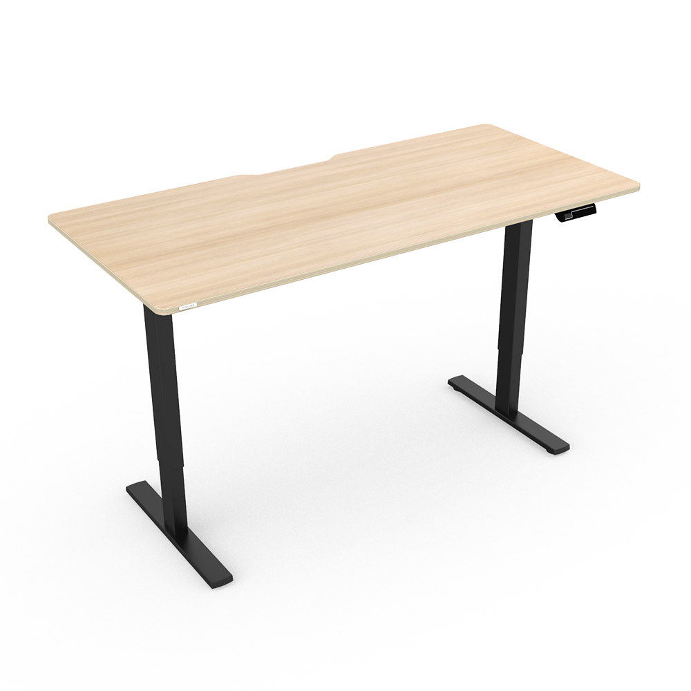 핏쳐 전동식 모션 데스크 스탠딩책상 커스터마이징 E1 Plus