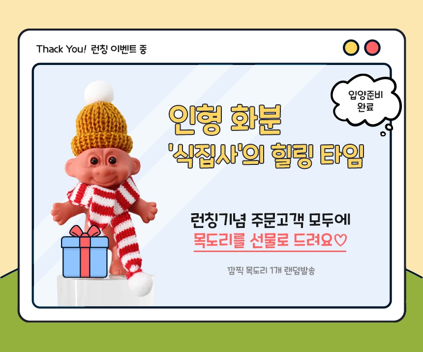책상화분 사무실 미니화분 인테리어 방에서키우는식물 하트레드세트 - 상세 이미지 4