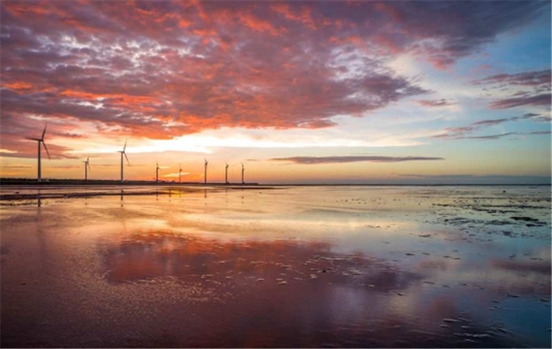 대만 칭징농장 & 고미습지 조인 일일 투어 (타이중 출발) 이미지 2