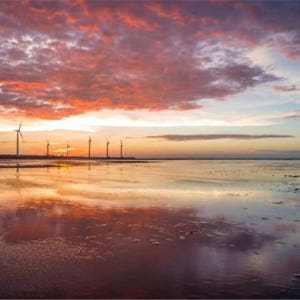 대만 칭징농장 & 고미습지 조인 일일 투어 (타이중 출발) 솔직 후기 | 실사용자 리뷰 분석 - 상품 이미지 2