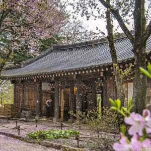 강원도 1일 투어: 남이섬 & 설악산 (서울 출발) | 대한민국 솔직 후기 | 실사용자 리뷰 분석 - 상품 이미지 3