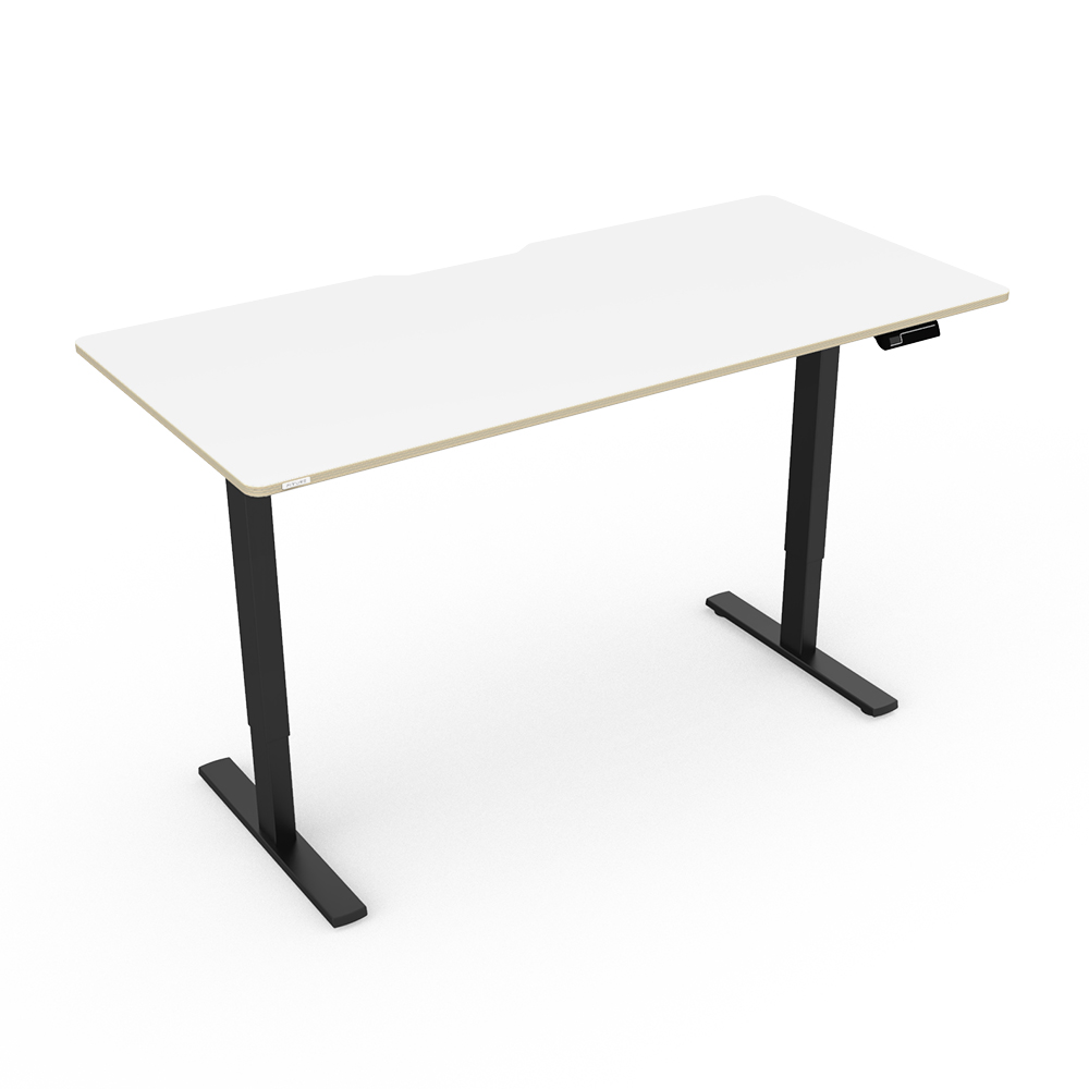 핏쳐 전동식 모션 데스크 스탠딩책상 커스터마이징 E1 Plus