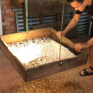 베트남 소박한 메콩강: 까이베 일일투어(호치민 출발) 솔직 후기 | 실사용자 리뷰 분석 - 상품 이미지 4