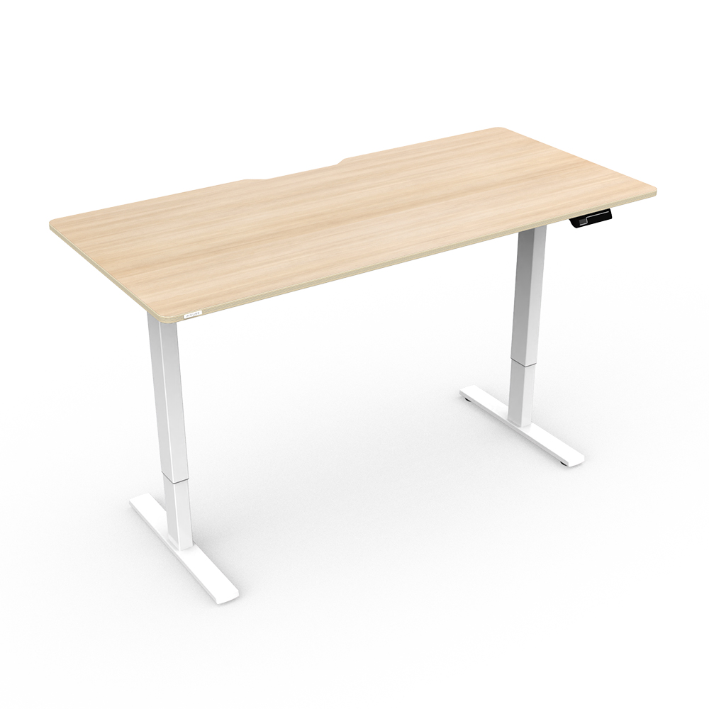 핏쳐 전동식 모션 데스크 스탠딩책상 커스터마이징 E1 Plus