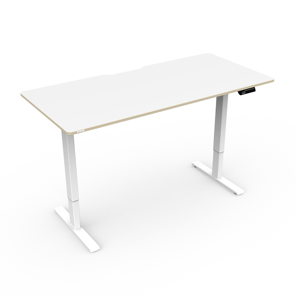 핏쳐 전동식 모션 데스크 스탠딩책상 커스터마이징 E1 Plus