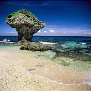 대만 소류구 스노클링 체험 & 수중 촬영 서비스 솔직 후기 | 실사용자 리뷰 분석 - 상품 이미지 3