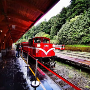 대만  자이 아리산 카풀 1일 교통편 | 펀치후 라오제 & 아리산 (타이... 솔직 후기 | 실사용자 리뷰 분석 - 상품 이미지 4