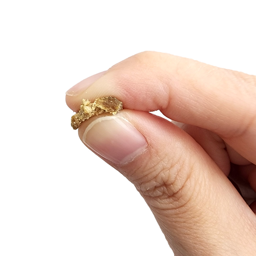 더독 닥터크래프트 알러지, 1kg, 1개