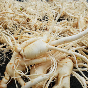 하루 한뿌리 건강한 금산 참 인삼 수삼 세척 중간 파지750g 맛있게 먹은 솔직 후기 - 상품 이미지 1