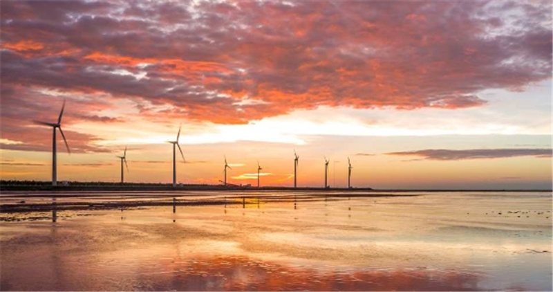 대만  타이중 궁원안과 & 고미습지 & 무지개 마을 일일 투어 (타이베이 출발) 이미지 3