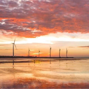 대만  타이중 궁원안과 & 고미습지 & 무지개 마을 일일 투어 (타이베이... 솔직 후기 | 실사용자 리뷰 분석 - 상품 이미지 3