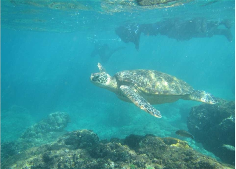 대만 소류구 스노클링 체험 & 수중 촬영 서비스 이미지 2