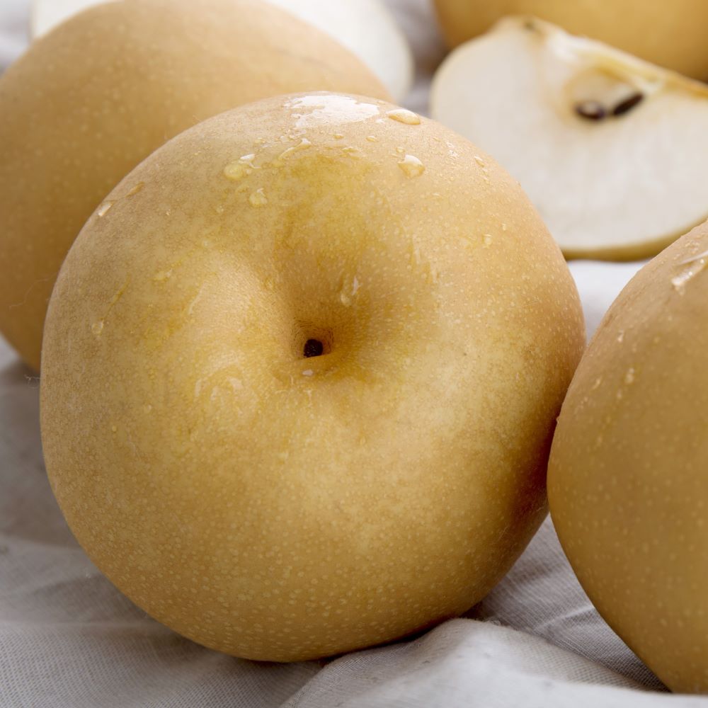 나주배 신고배 가정용