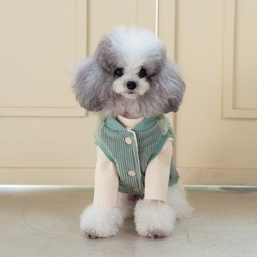 강아지패딩 강아지겨울옷 로이패딩조끼+실내복