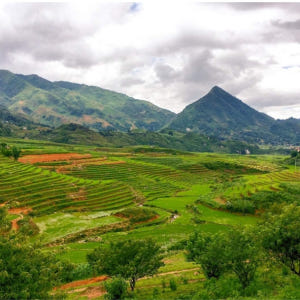 사파  마트라 & 타핀 빌리지 프라이빗 트레킹 투어 (사파 출발) 솔직 후기 | 실사용자 리뷰 분석 - 상품 이미지 1