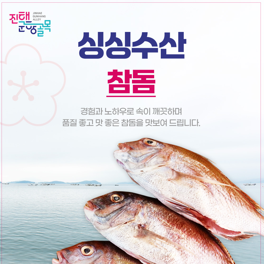 국내산 목포 참돔 33~35cm 싱싱수산 - 상품 이미지