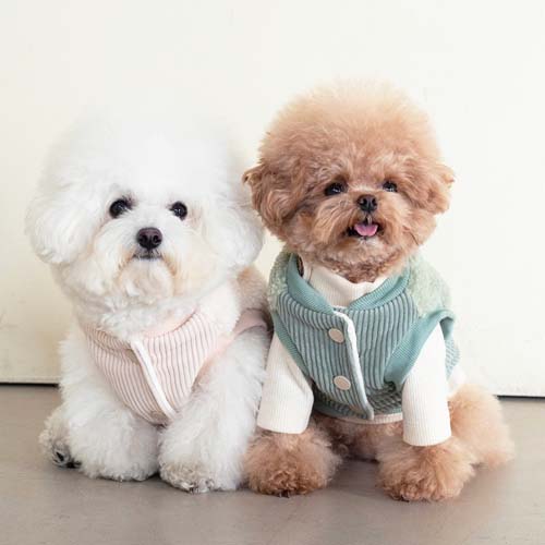 강아지패딩 강아지겨울옷 로이패딩조끼+실내복