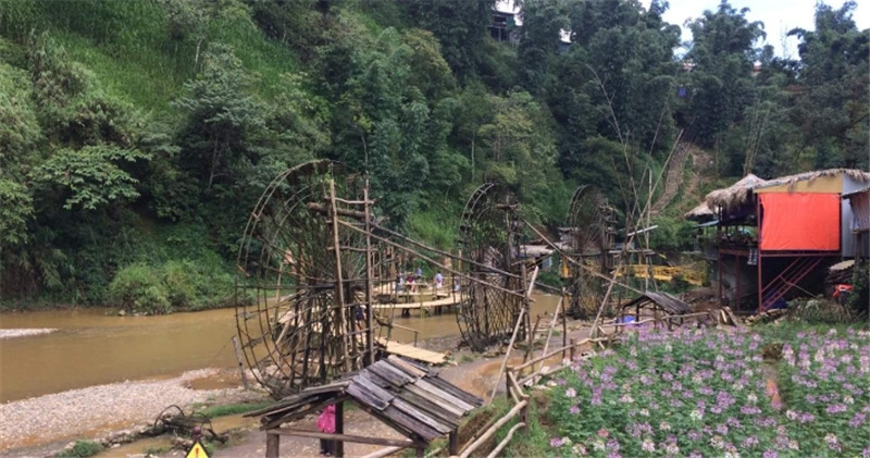 사파 깟깟 마을 1박 2일 투어 & 트레킹 & 판시판 레전드 케이블카 솔직 후기 | 실사용자 리뷰 분석 - 대표 이미지